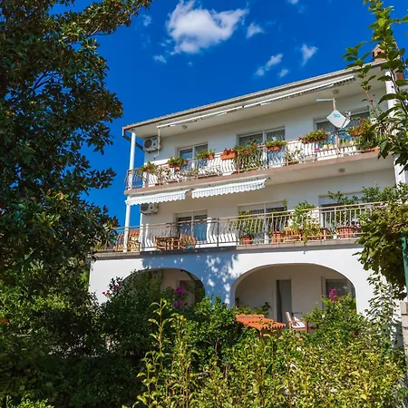 Ivy * 茨里克韦尼察