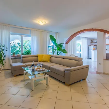 Ivy 茨里克韦尼察